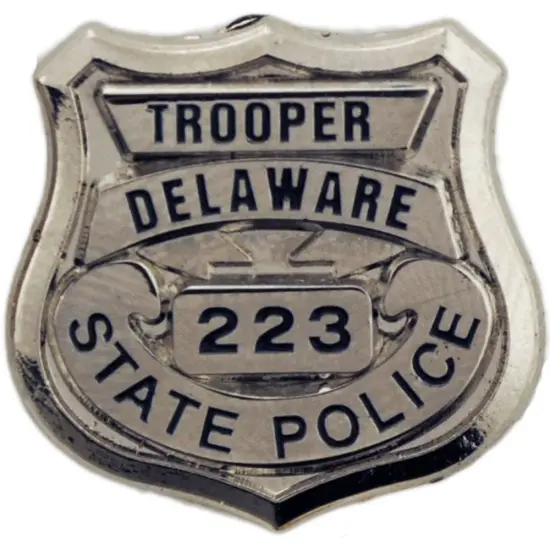 Delaware State Police Badge Pin 1" {1}