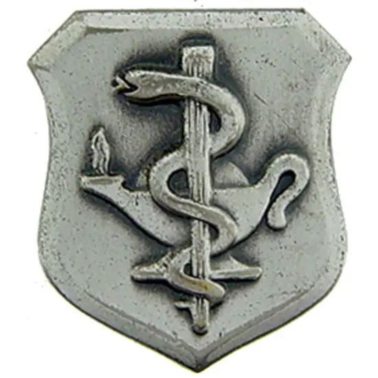 U.S. Air Force Basic Nurse Pin 7/8" {1}