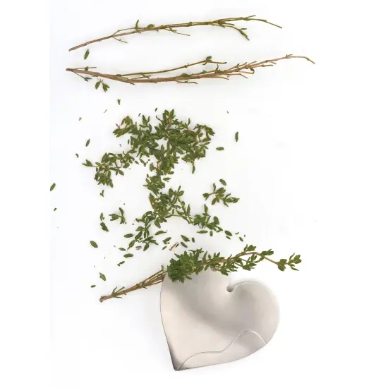 RSVP Intl Herb Stripper {5}