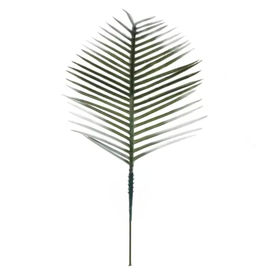 6" Cycus White Tips - 5 Pieces, Perfect for Floral Arrangements, Home Decor, Weddings, and Craft Projects - Lifelike Artificial Foliage - Floral Home by Artificial Flowers {1}