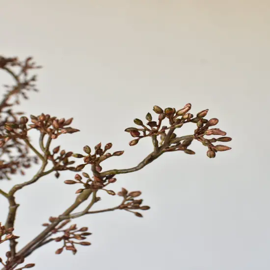38" Faux Brown Sedum Berry Branch {4}