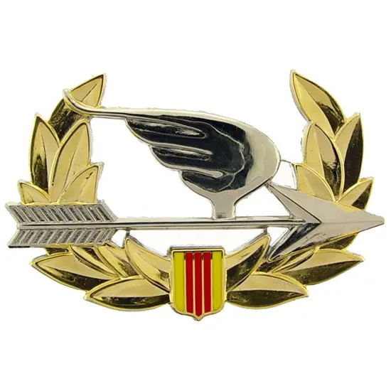 Vietnam U.S. Army Ranger Pin 2 1/4" {1}