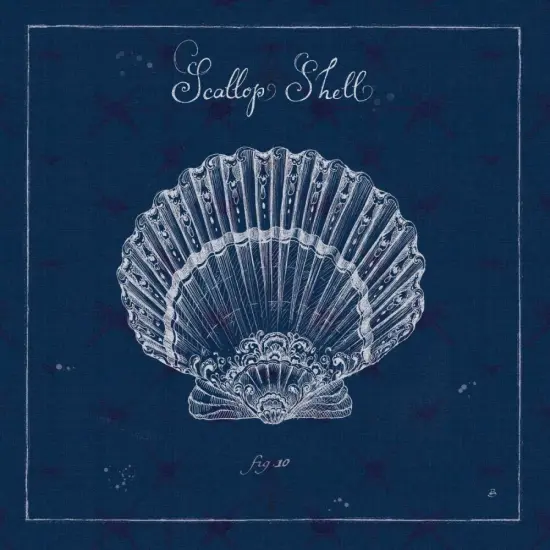 Underwater Life XV Poster Print by Daphne Brissonnet - Item # VARPDX33471HR {1}