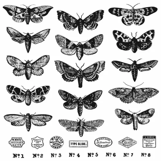 Tim Holtz Cling Stamps 7"X8.5"-Moth Study {1}