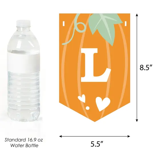 Big Dot of Happiness Little Pumpkin - Fall Birthday Party or Baby Shower Bunting Banner - Party Decorations - Little Pumpkin {4}