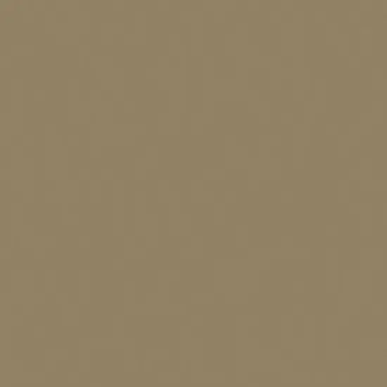 Bazzill Card Shoppe Heavyweight Cardstock 8.5"X11" {2}