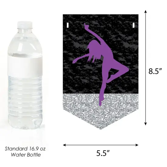 Big Dot of Happiness Must Dance to the Beat - Dance - Birthday Party Bunting Banner - Birthday Party Decorations - Happy Birthday {3}