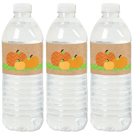 Big Dot of Happiness Pumpkin Patch - Fall, Halloween or Thanksgiving Party Water Bottle Sticker Labels - Set of 20 {1}