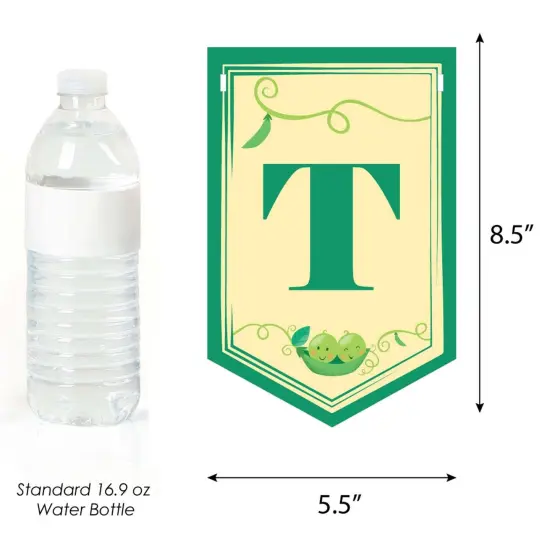 Big Dot of Happiness Double the Fun - Twins Two Peas in a Pod - Baby Shower Bunting Banner - Party Decorations - Two Peas in A Pod {4}