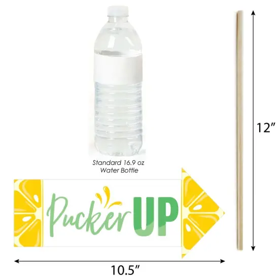 Big Dot of Happiness Funny So Fresh - Lemon - Citrus Lemonade Party Photo Booth Props Kit - 10 Piece {4}