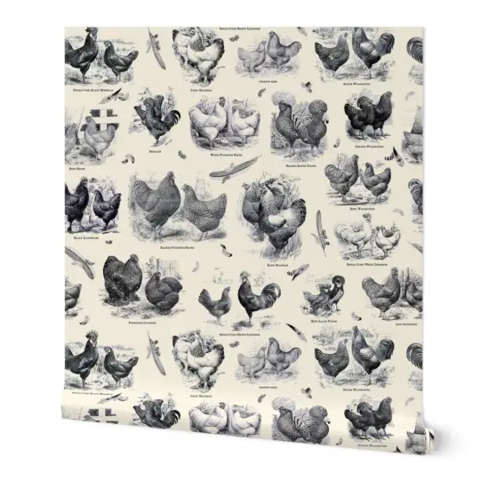 Pre-Pasted Wallpaper 2FT Wide Poultry Cream Black Toile Vintage Antique Victorian Historical Chicken Custom Pre-pasted Wallpaper by Spoonflower {4}