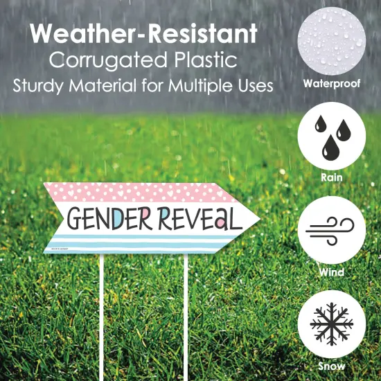 Big Dot of Happiness Baby Gender Reveal - Team Boy or Girl Party Sign Arrow - Double Sided Directional Yard Signs - Set of 2 {4}