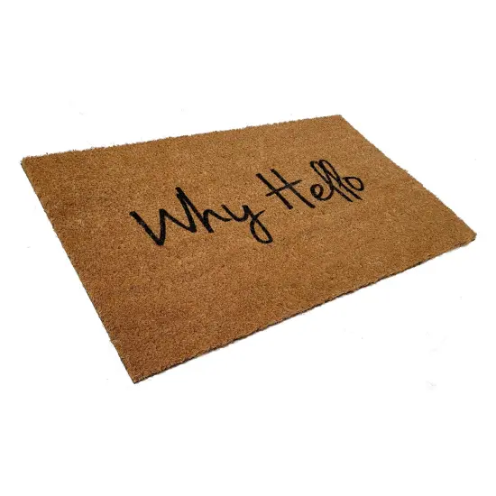 Calloway Mills 106681729 Why Hello Doormat 17" x 29" {2}