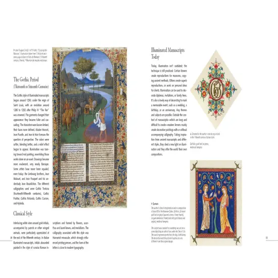 Beginning Illumination {3}