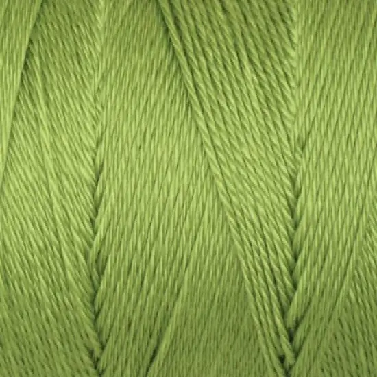 Multipack of 24 - Caron Simply Soft Collection Yarn-Pistachio {4}