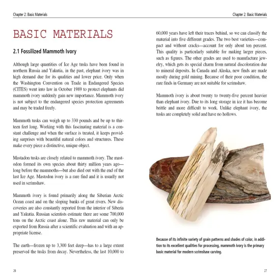 Scrimshaw in Theory and Practice {4}