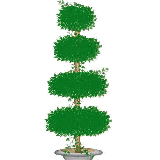 Medium Topiary with Oval Shapes Wall Stencil | 2646 by Designer Stencils | Floral Stencils | Reusable Art Craft Stencils for Painting on Walls, Canvas, Wood | Reusable Plastic Paint Stencil for Home Makeover | Easy to Use & Clean Art Stencil {2}