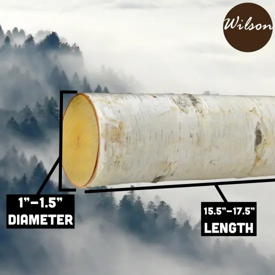 Wilson Decorative White Birch Logs, Natural Bark Wood Home Decor (Set of 12) - 15.5"-17.5" Length 1"-1.5" Dia. {6}