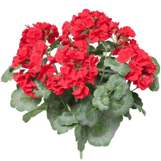 12-Pack: Red Geranium Bush - 7 Silk Flowers & Lush Leaves, Indoor/Outdoor Decor, DIY Crafts, Home & Event Arrangements - Spring & Summer Blooms, Floral Home by Artificial Flowers {1}