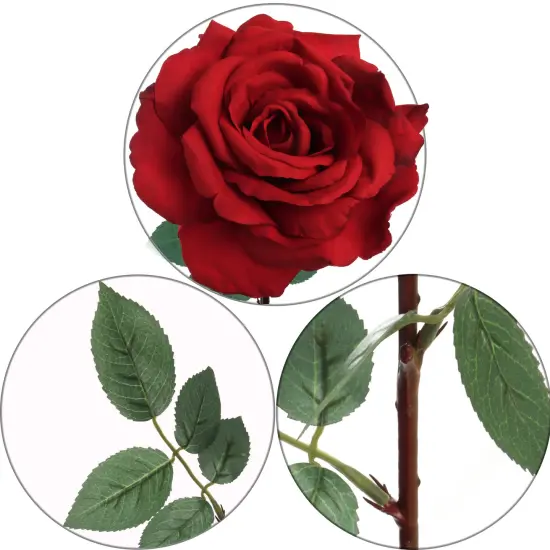 30" Red Queen Anne Rose Stem - Set of 12, Lifelike Silk Roses, Elegant Floral D&eacute;cor, Perfect for Arrangements, Events & Home - Ideal for All Seasons, Floral Home by Artificial Flowers {2}