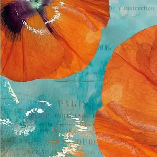 Poppies in the Sky II Poster Print by Sabine Berg - Item # VARPDX18246 {1}
