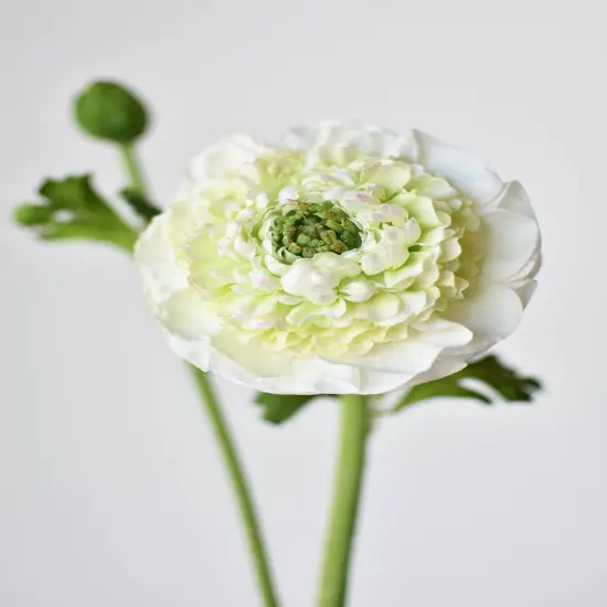 21" Faux Double Ruffled Ranunculus Stem White {1}