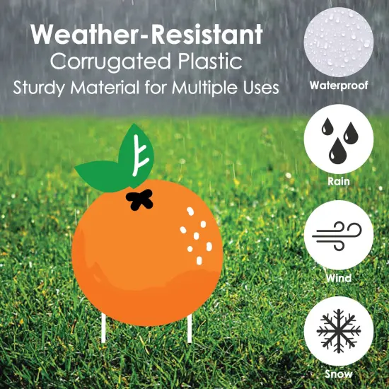 Big Dot of Happiness Tutti Fruity - Fruit Lawn Decorations - Outdoor Frutti Summer Baby Shower or Birthday Party Yard Decorations - 10 Piece {6}