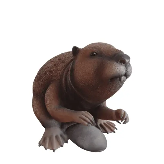 Beaver Life Size Statue {1}