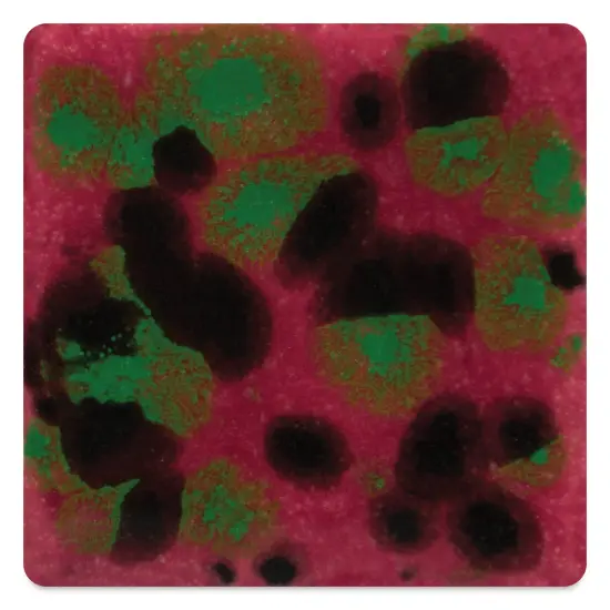 Mayco Jungle Gems Crystal Glaze - Maroon Lagoon, Pint {1}