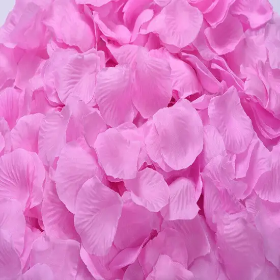1000 Pcs Rose Petal Wedding Party Decorations Pink {1}