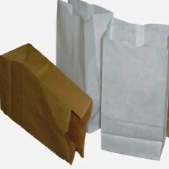 Strong Paper Bag White-16 | Premier Source for Stylish Paper Bags | RAHEEV&reg; {2}