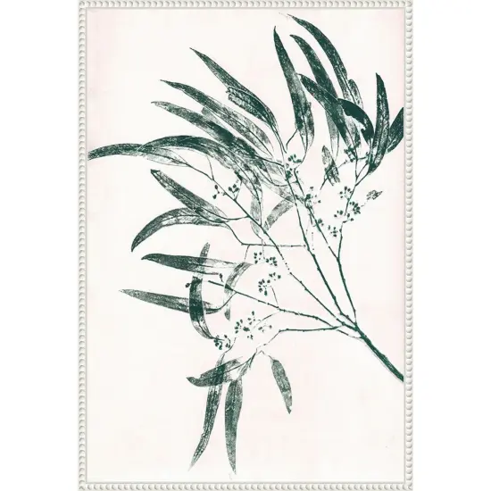 Eucalyptus 2 Green by Pernille Folcarelli Framed Canvas Wall Art {1}
