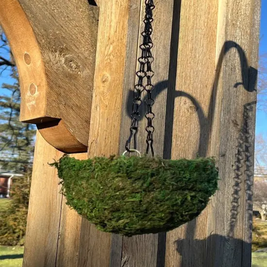 6" MOSS Hanging Basket - Circle Basket {5}
