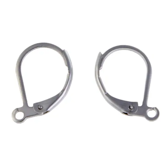 Surgical Stainless Steel Lever Back Earring Finding (Package of 2) {2}