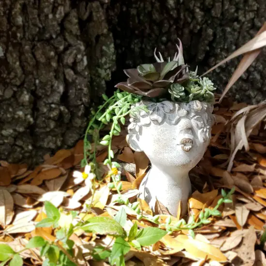 Pucker Up Junior Kissing Face Weathered Finish Concrete Head Mini Planter {6}