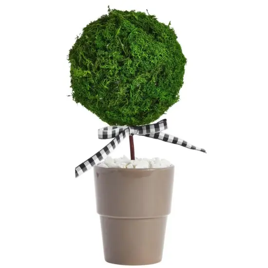 5 Inch Foam Balls for Crafts - 4 Pack Solid Spheres for Ornaments, DIY Projects {3}