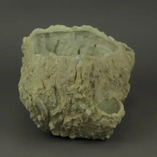 Off-White Fossilized Coral Decorative Coastal Decor Vase {3}