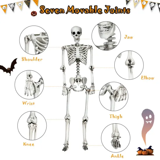 Costway 5.4ft Halloween Skeleton Life Size Realistic Full Body Hanging w/ Movable Joints {6}