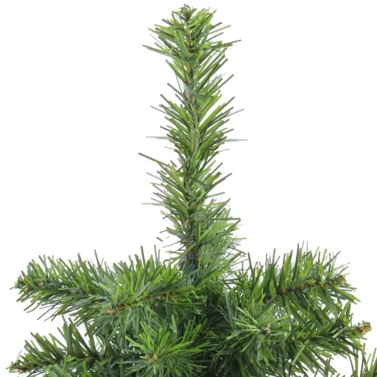 Northlight Medium Canadian Pine Artificial Christmas Tree - 18" - Unlit Green {5}