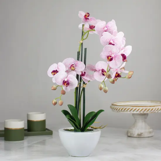 Northlight Real Touch&trade;️Artificial Orchid Plant in a White Pot - 21" - Pink {3}