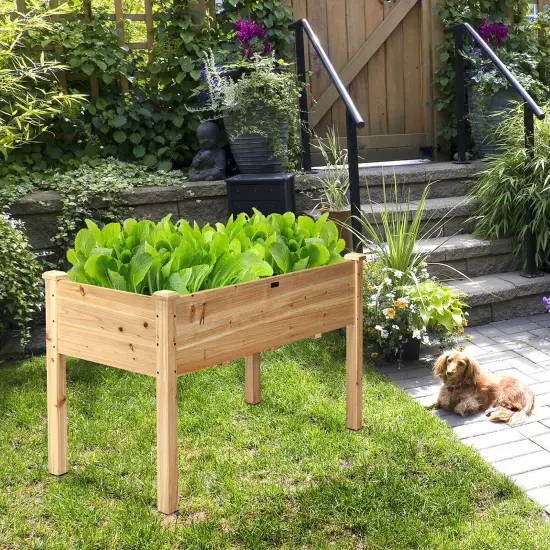 Costway Wooden Raised Vegetable Garden Bed Elevated Grow Vegetable Planter {2}