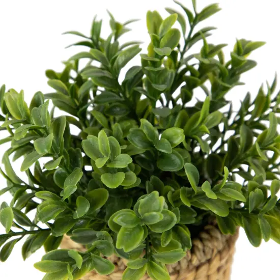 Northlight Milan Leaf Artificial Mini Bush In Rattan Basket - 7" Green {7}