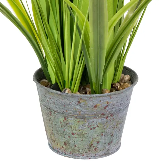 Northlight 24" Artificial Green Onion Grass Plant in Tin Pot {6}