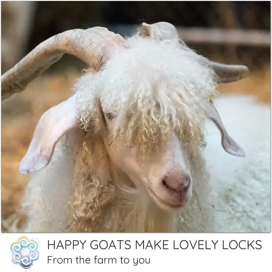 REAL MOHAIR LOCKS - 9 PACK. Organic Hand-Dyed Curly Wool for Rooting Doll Hair, Felting, Blending, Spinning. {5}