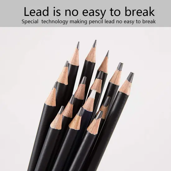 29 Pieces Sketching Pencils Set, Metal Box Packaging, Including Graphite Pencils、Charcoal Pencils、Blending Stumps and other tools for drawing (A set). {6}