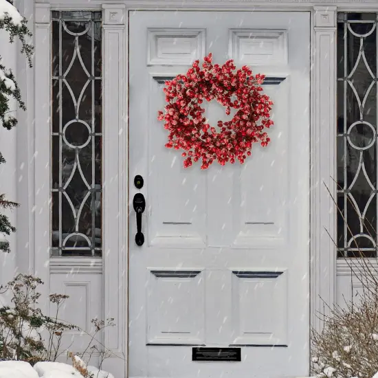 12-Pack: 20" Iced Red Hawthorn Berry Wreath, Floral Home by Artificial Flowers {5}