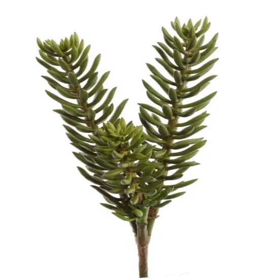 6-Pack: Real Touch Sedum Succulent Spray, 8" Wide, Floral Home by Artificial Flowers {1}