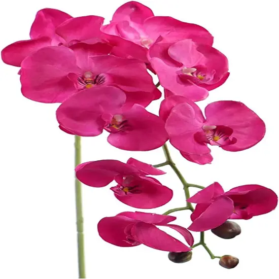 Fuchsia Phalaenopsis Orchid Stem - 12-Pack, 9 Lifelike Flowers Per Stem, Elegant Floral D&eacute;cor, Perfect for Events & Home - Ideal for All Seasons, Floral Home by Artificial Flowers {1}