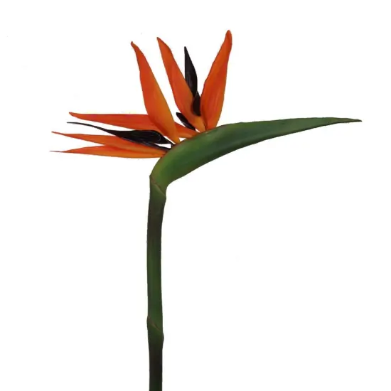 6-Pack: Orange Bird of Paradise Stem with Silk Flowers by Floral Home&reg; {1}