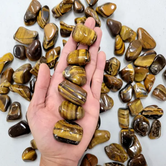 Bulk Tumbled Golden Tiger's Eye Crystal Stones - Size Medium - 1 inch to 2 inches {5}